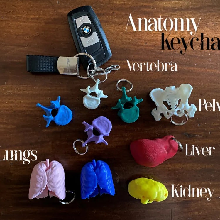 Porte-clés Organes Anatomiques (lot)