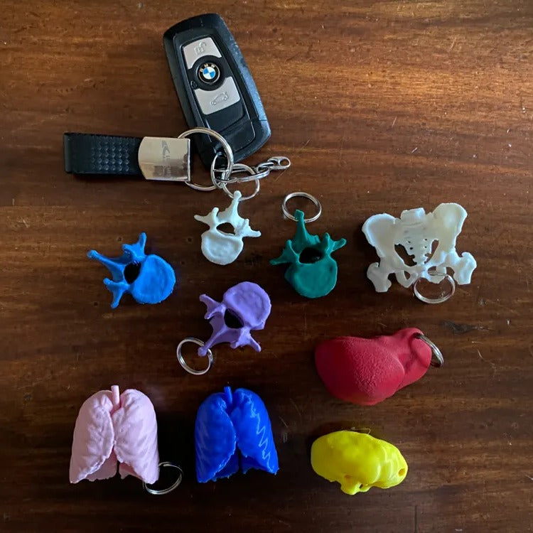 Porte-clés Organes Anatomiques (lot)
