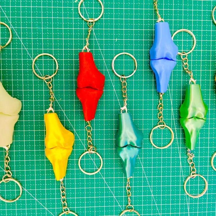 Porte-clés Organes Anatomiques (lot)