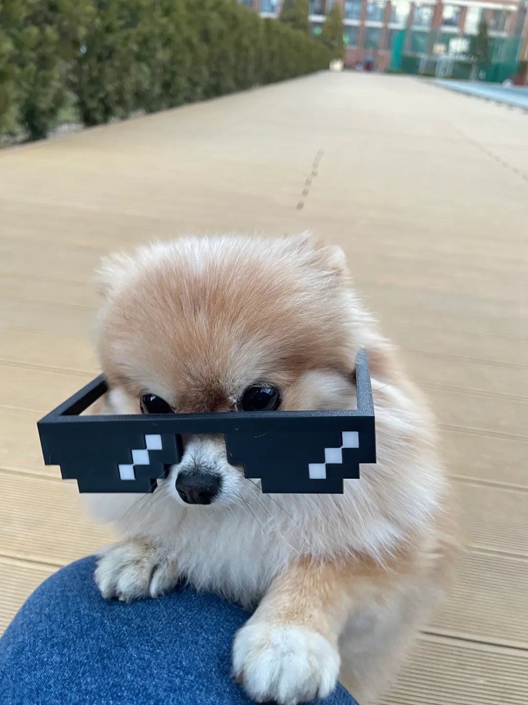 Lunettes de Soleil Pixel – Minecraft 🕶️