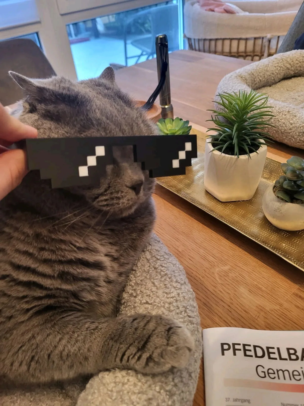 Lunettes de Soleil Pixel – Minecraft 🕶️