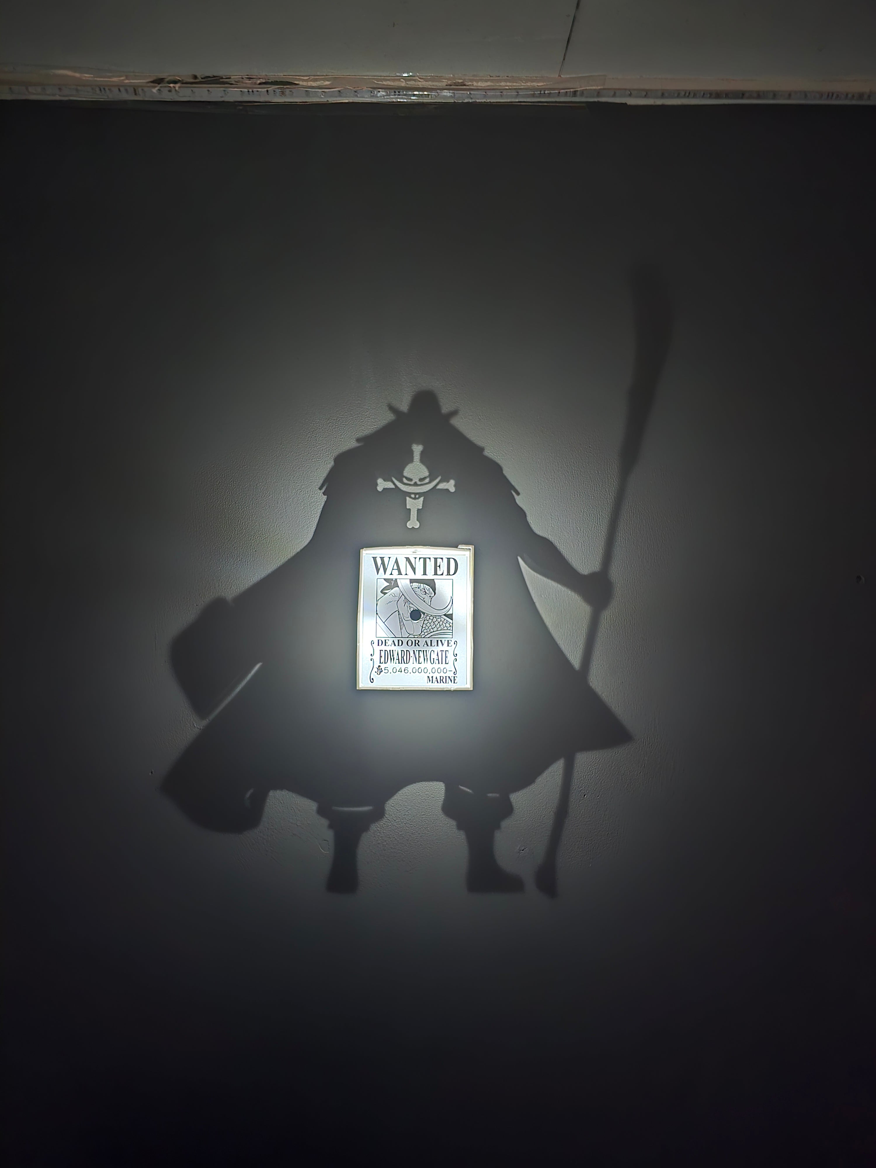 Shadow Box Barbe Blanche – One Piece ⚔️